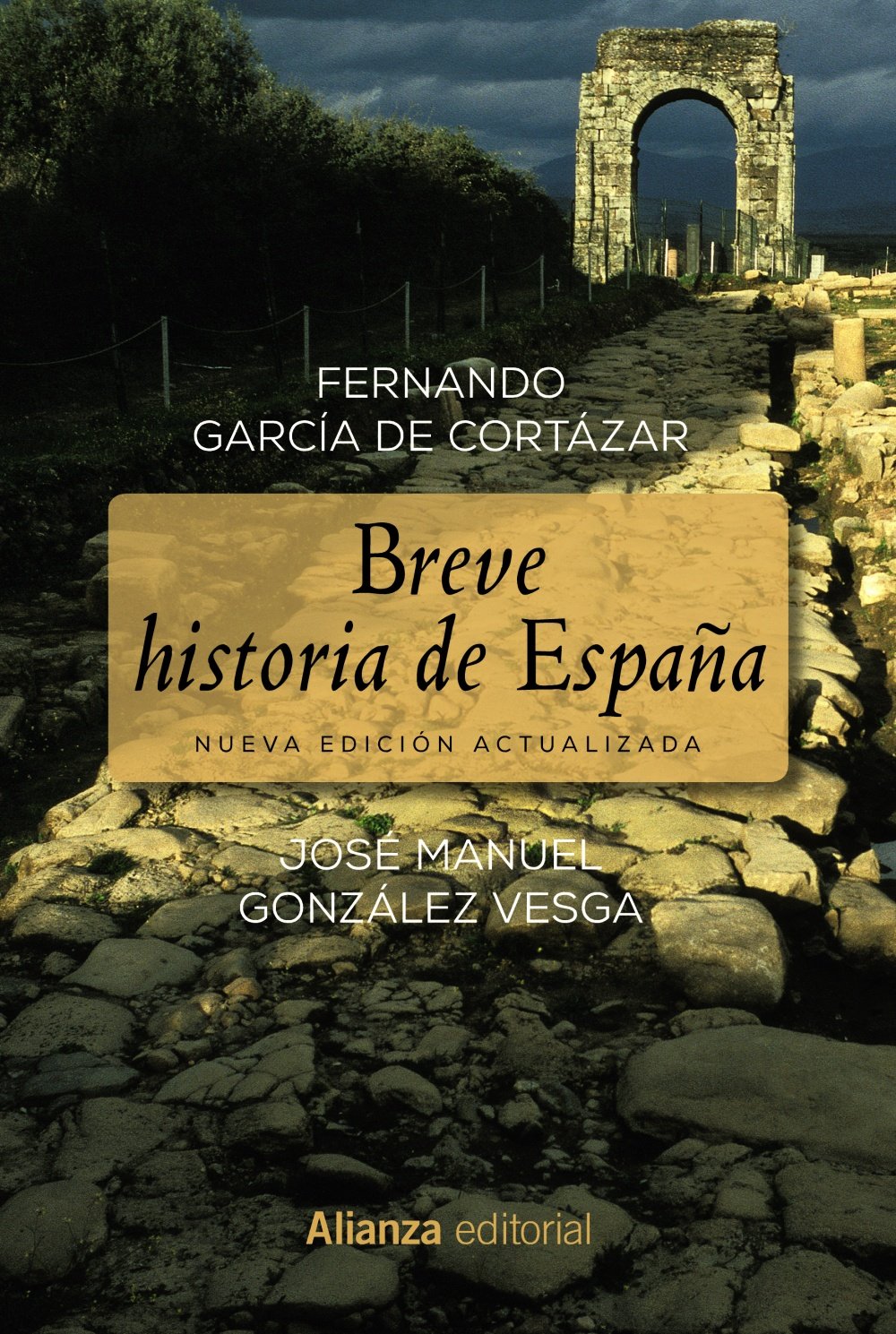 Breve historia de España book