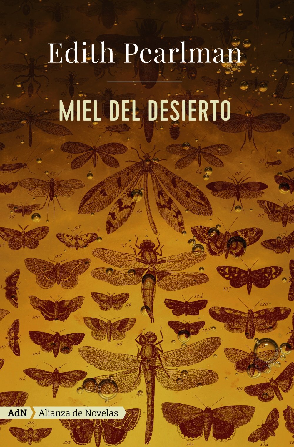 Miel del desierto (AdN Alianza de Novelas) Contemporary literature
