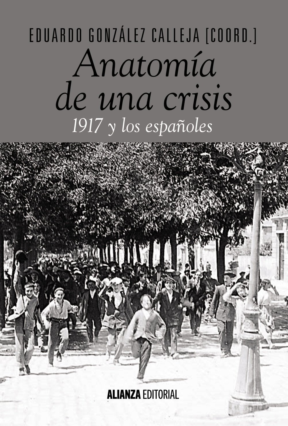 Anatomía de una crisis : 1917 y los españoles (Alianza Ensayo) Social Sciences