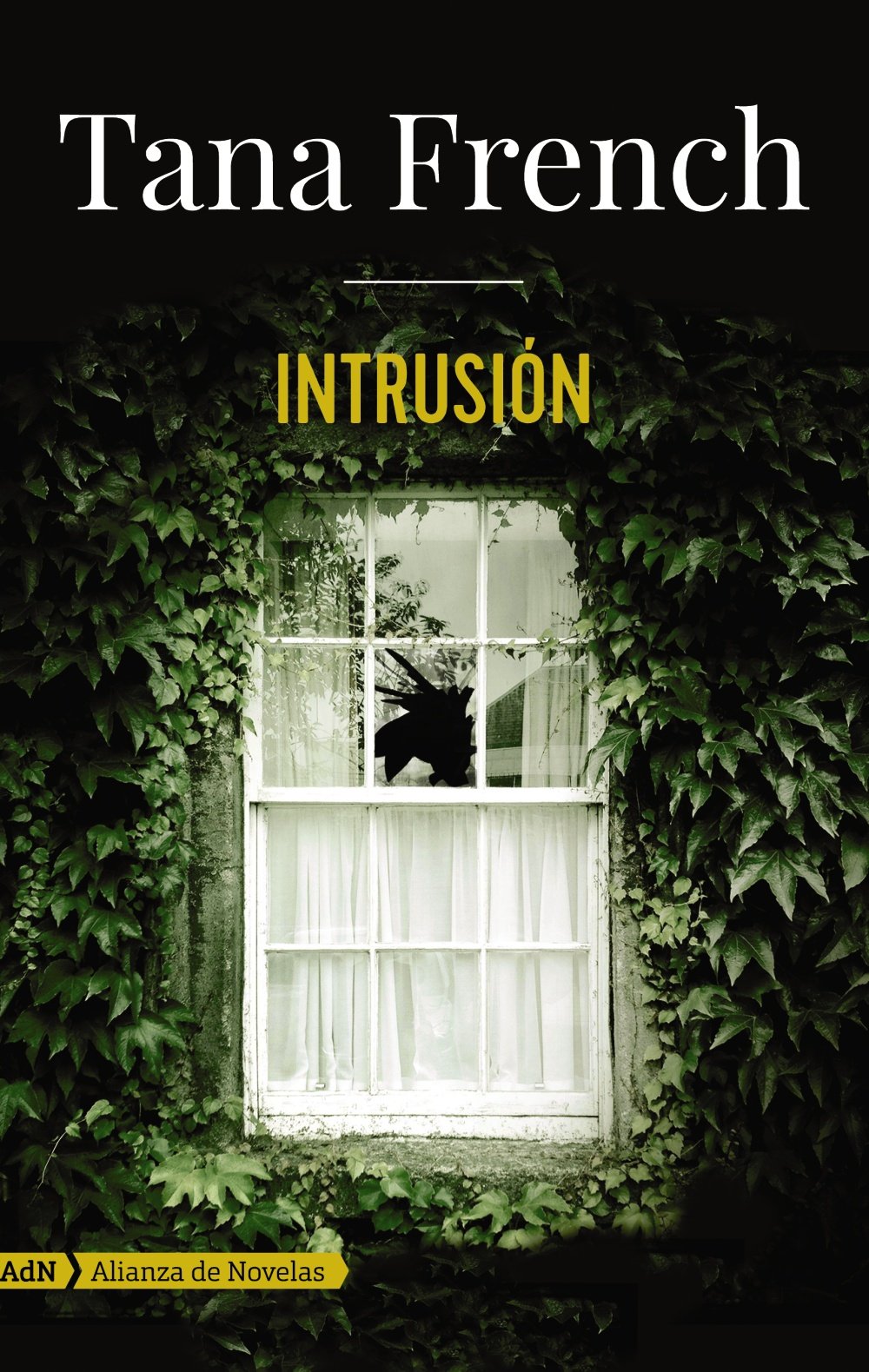 Intrusión / The Trespasser book