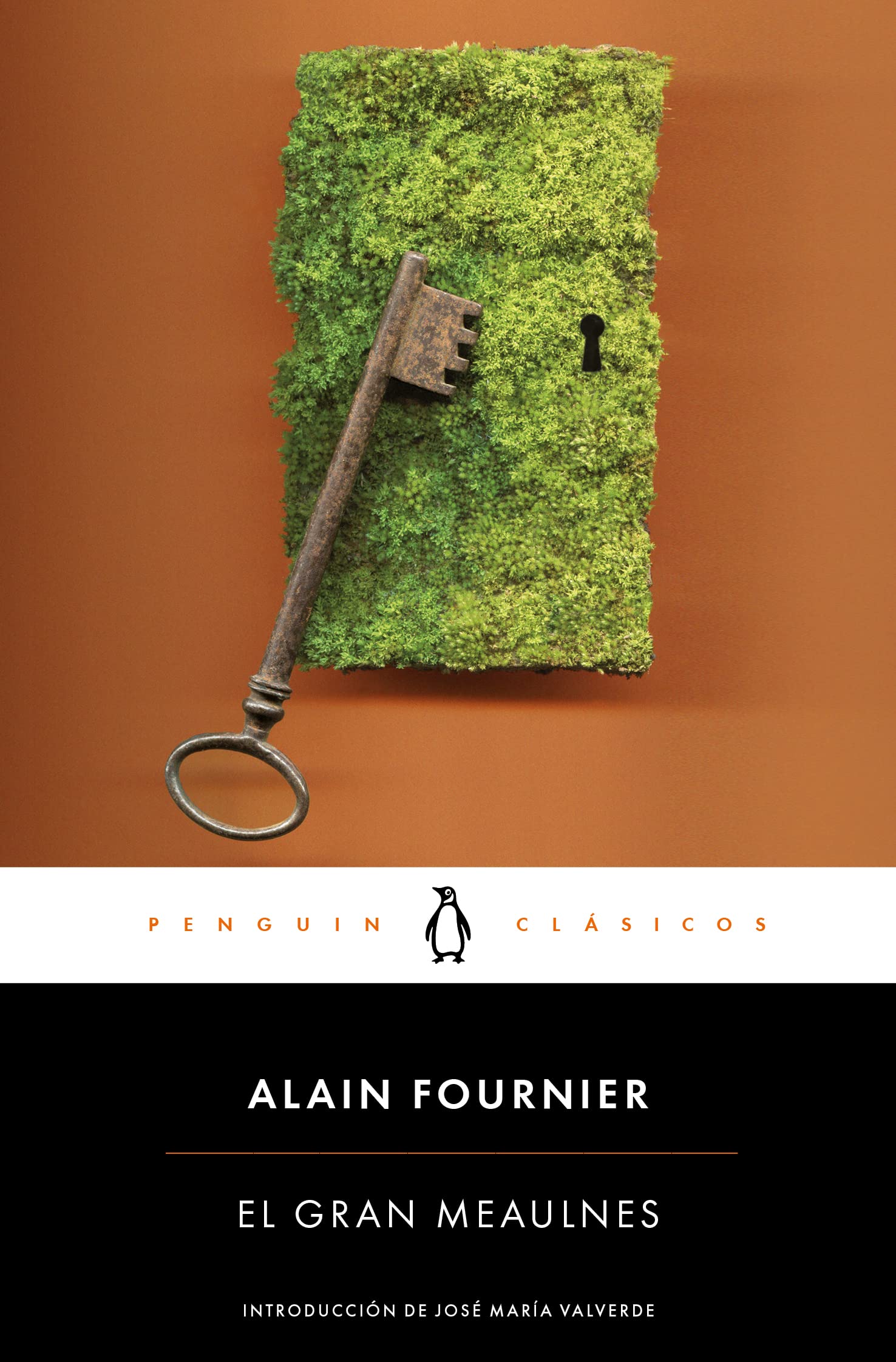 El gran Meaulnes book