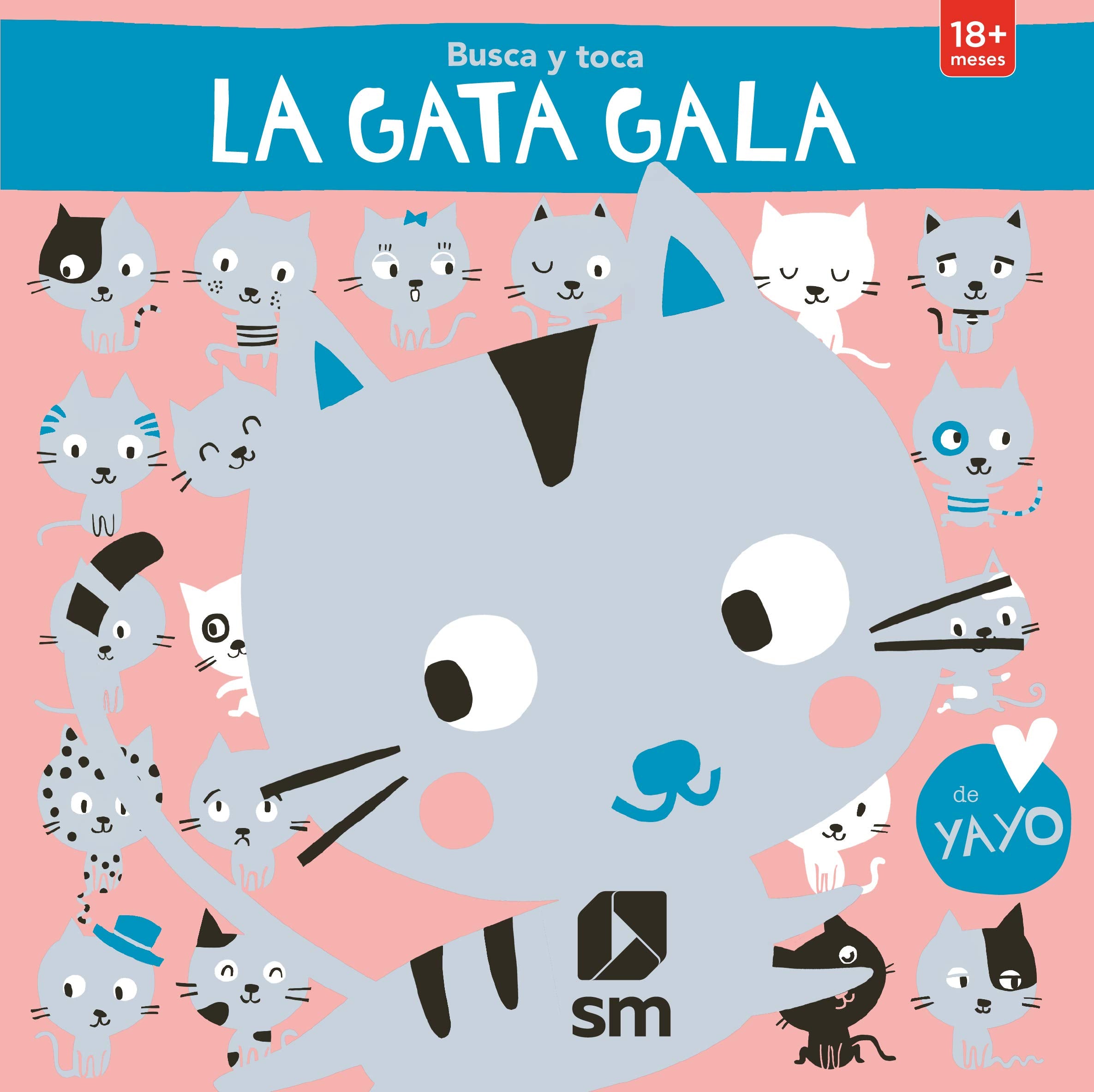Busca a la gata Gala (Busca y toca) Social Sciences