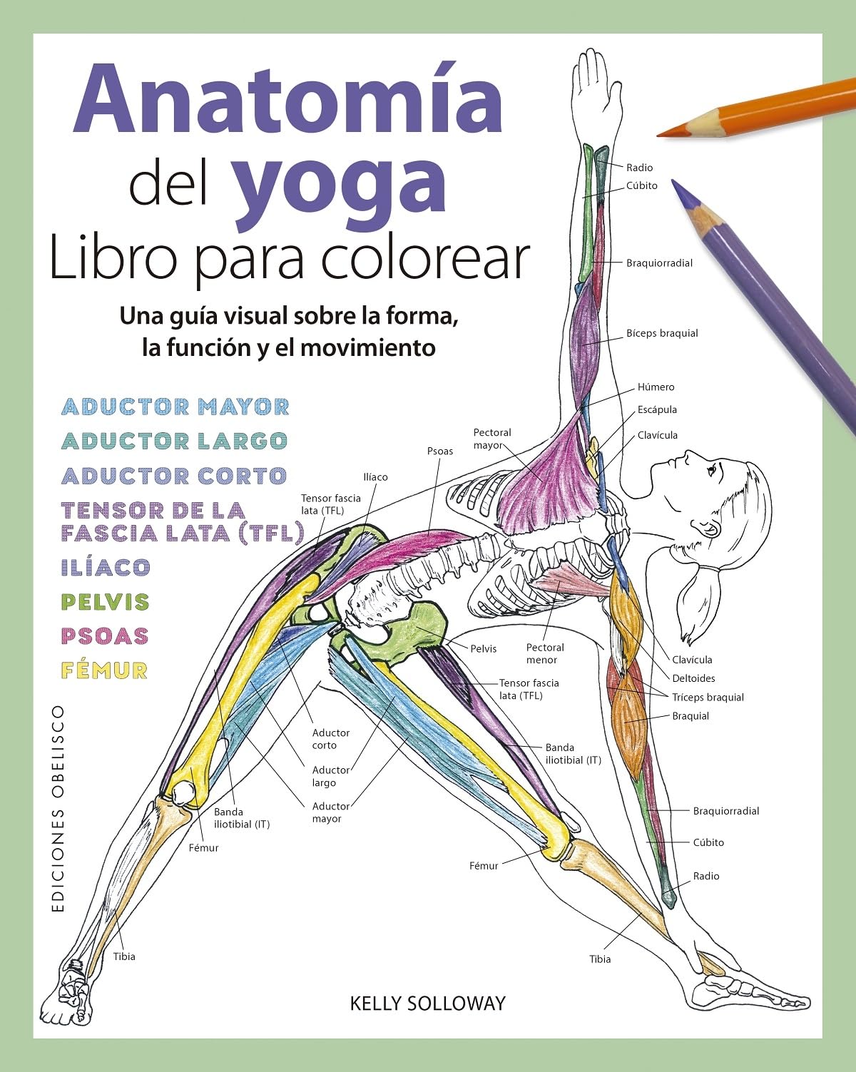 Anatomía del yoga/ The Yoga Anatomy: Libro Para Colorear/ Coloring Book book