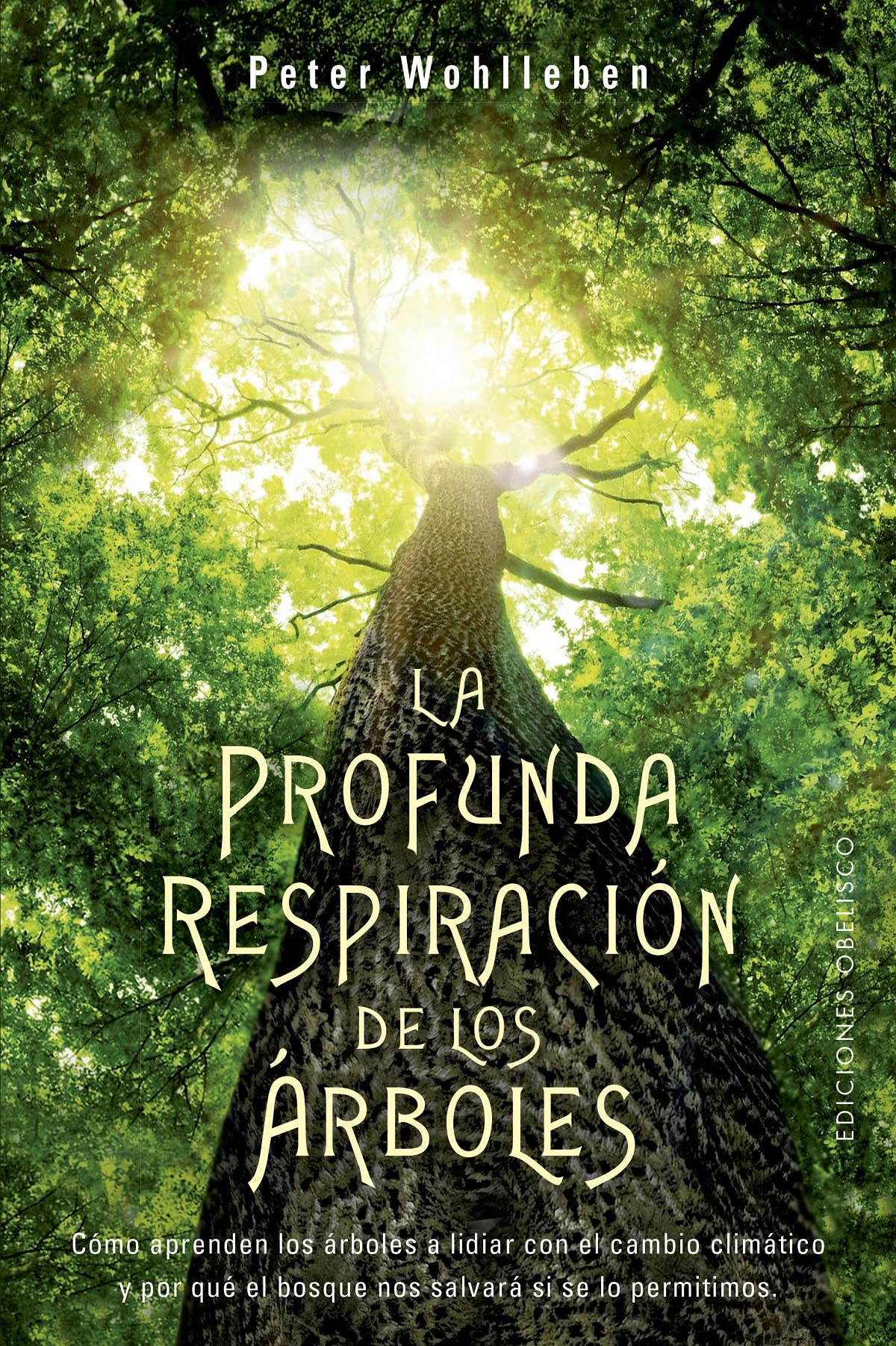 La profunda respiración de los árboles (Espiritualidad y vida interior) Mathematics