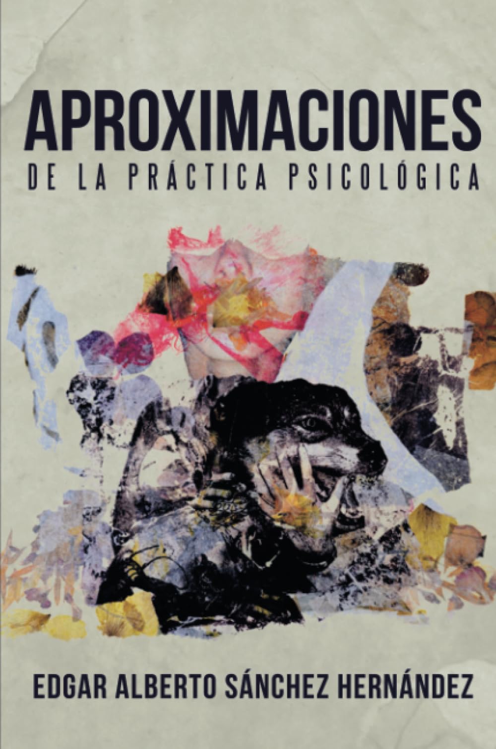 Aproximaciones de la práctica psicológica (Caligrama) Social Sciences