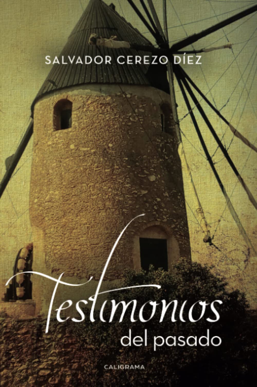 Testimonios del pasado (Talento) Social Sciences