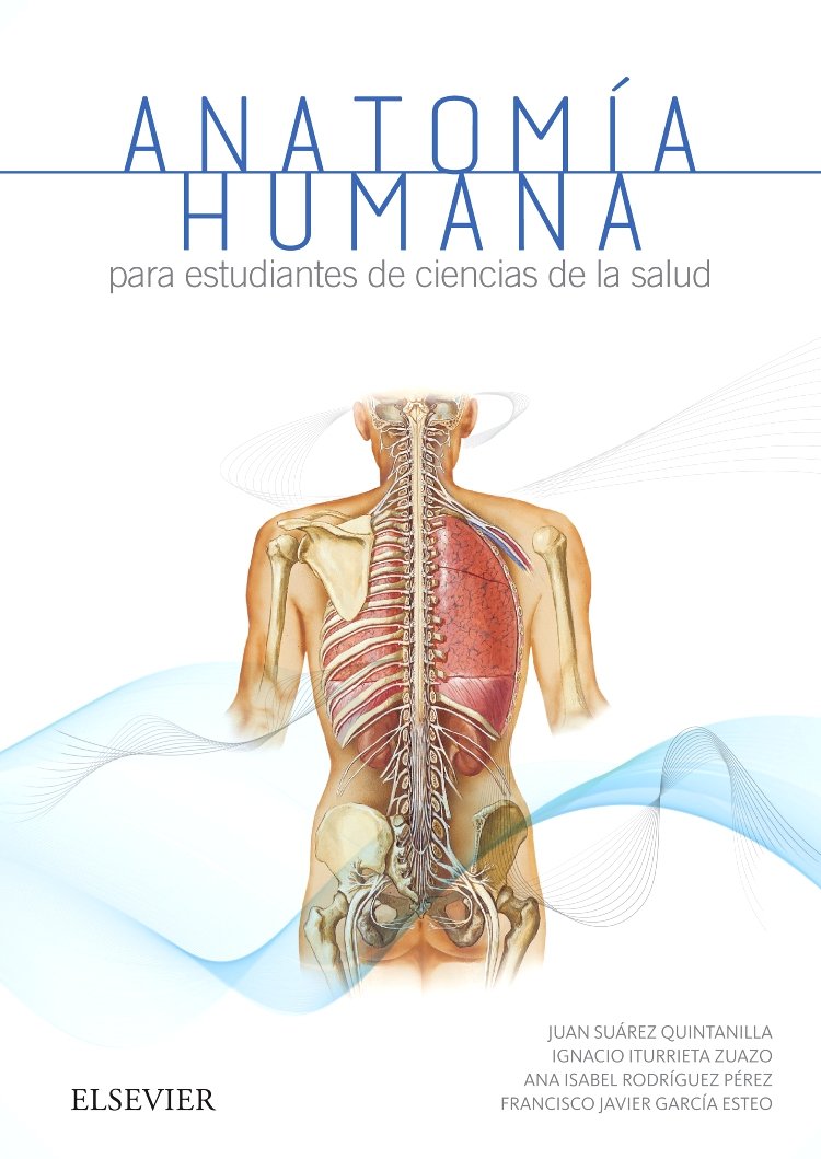 Anatomía humana para estudiantes de Ciencias de la Salud book
