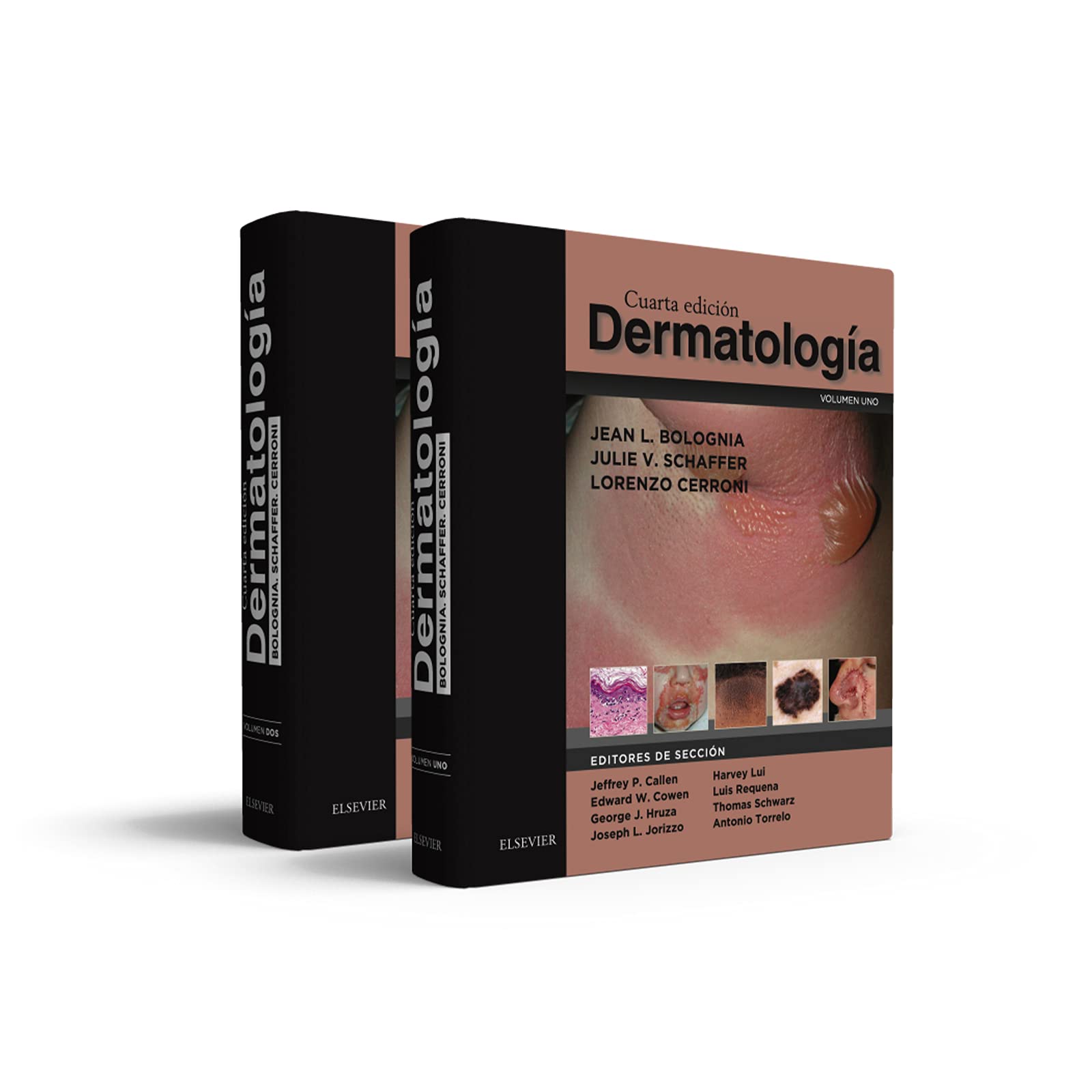 Dermatología (2 Volúmenes). 4ª Edición Medicine