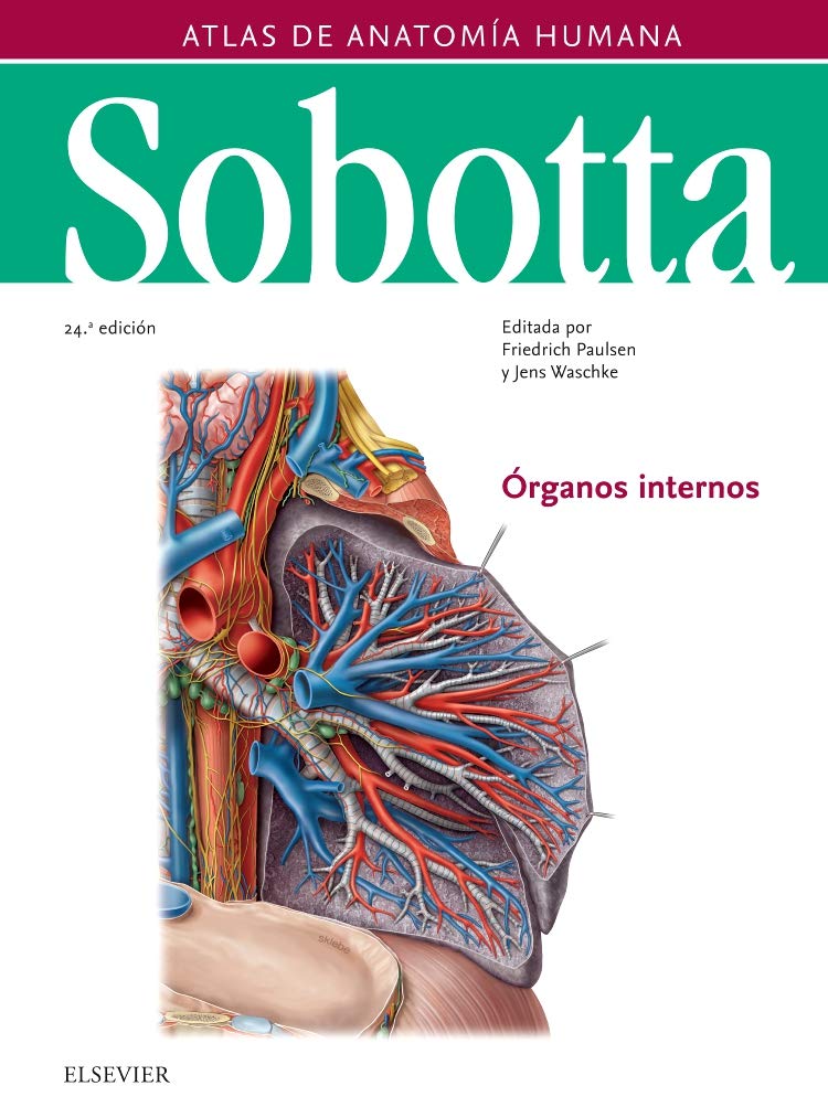 SOBOTTA ATLAS DE ANATOMIA HUMANA VOL 2 24ª ED: Órganos internos Medicine