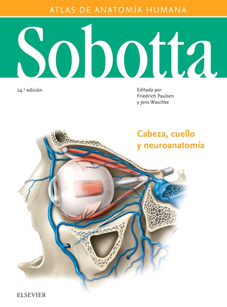 Atlas de anatomía humana 3 : cabeza, cuello y neuroanatomía Medicine
