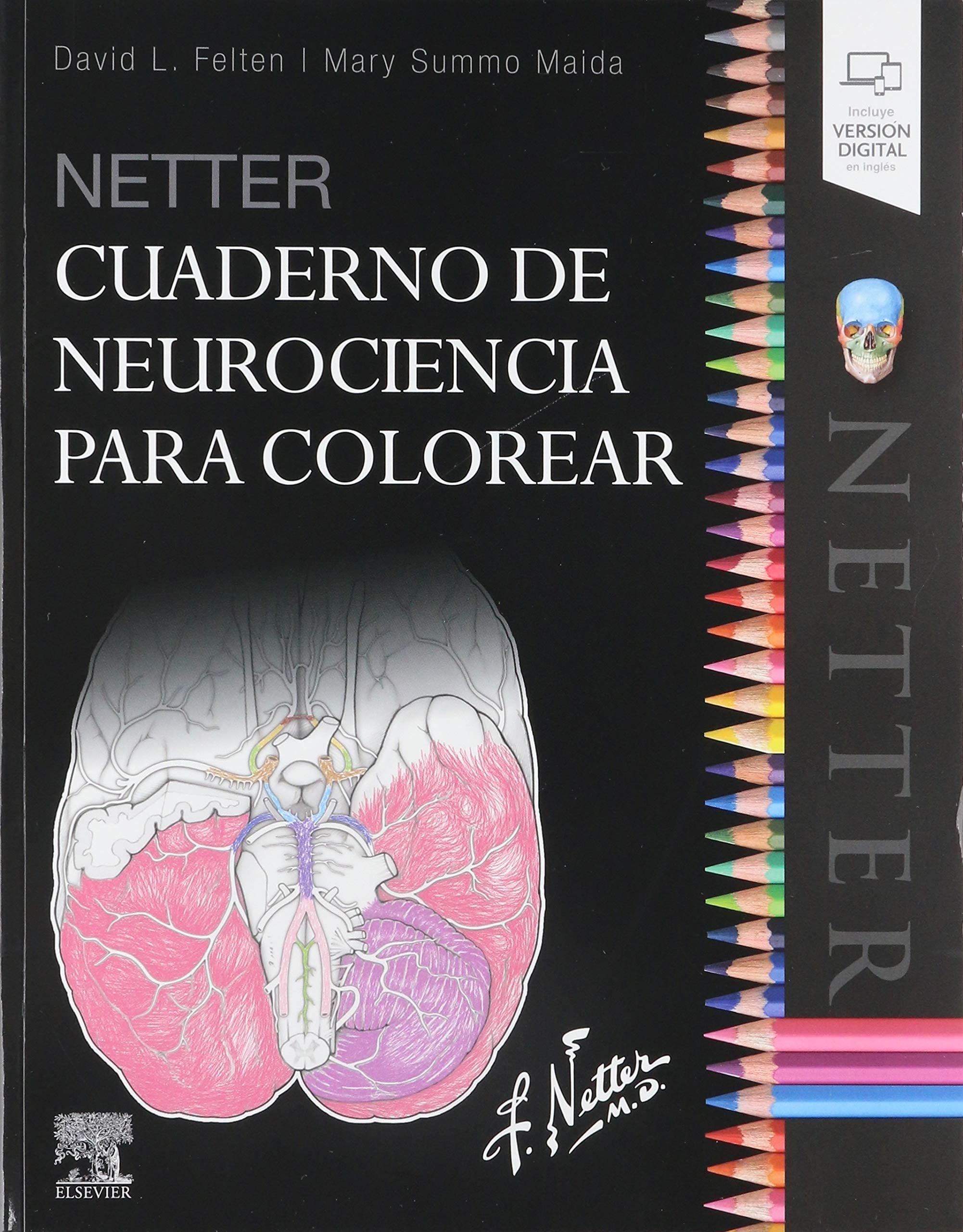 Netter. Cuaderno de neurociencia para colorear book