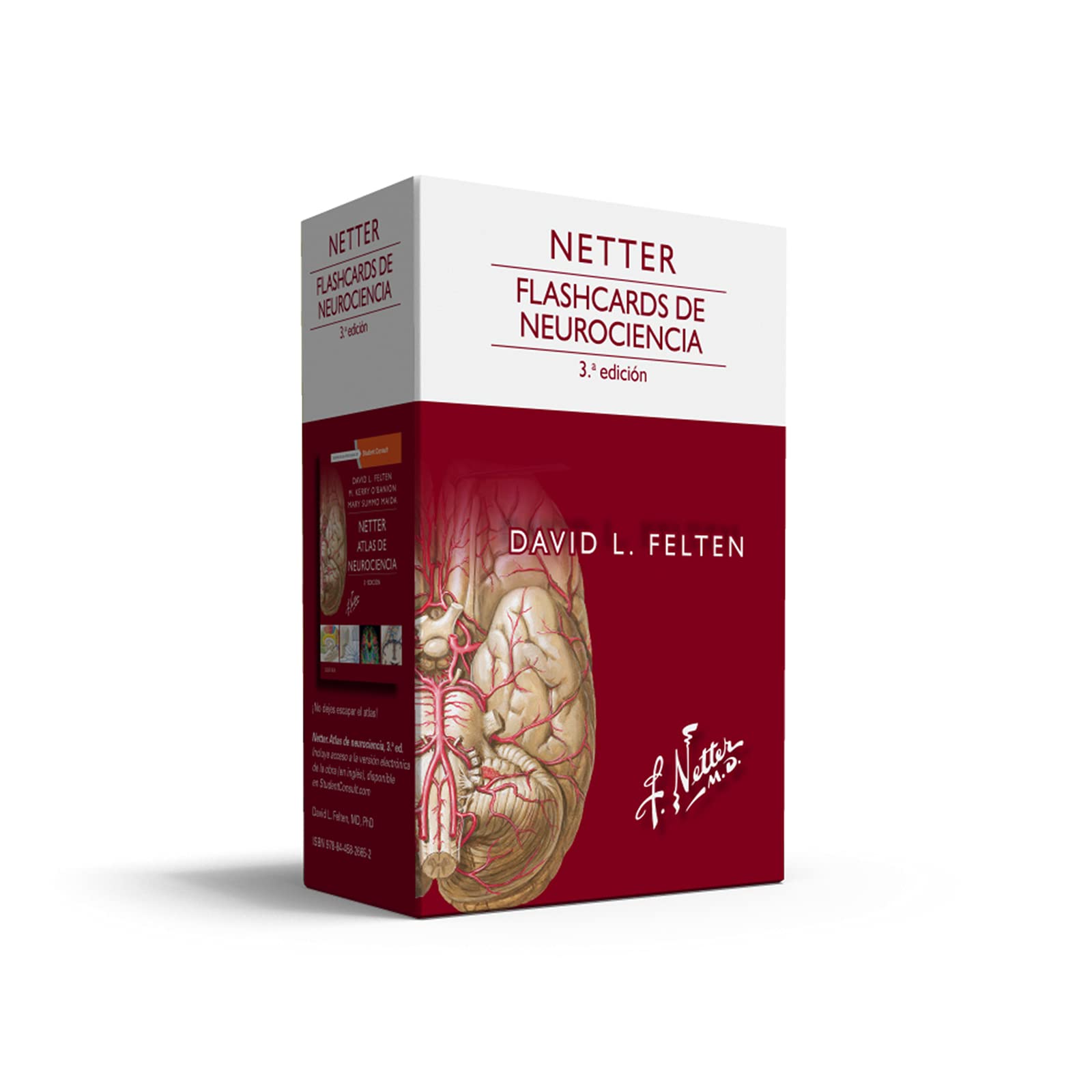 Netter. Flashcards de neurociencia (3ª ed.) Non-fiction