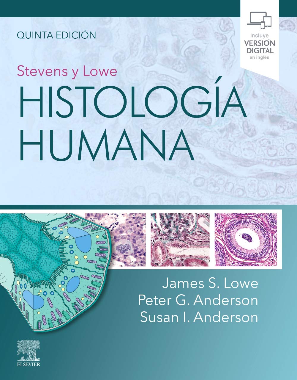 Stevens y Lowe. Histología humana Medicine