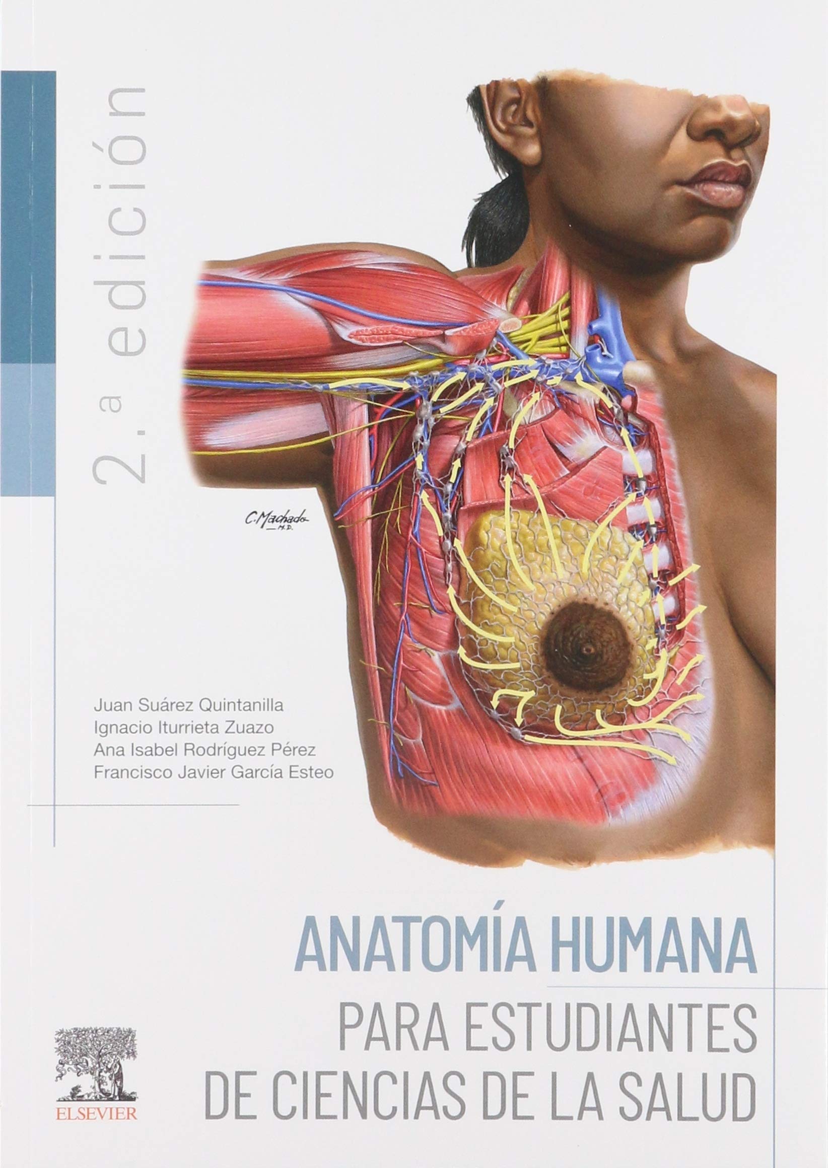 Anatomia Humana Para Estudiantes De Ciencias De La Salud Medicine