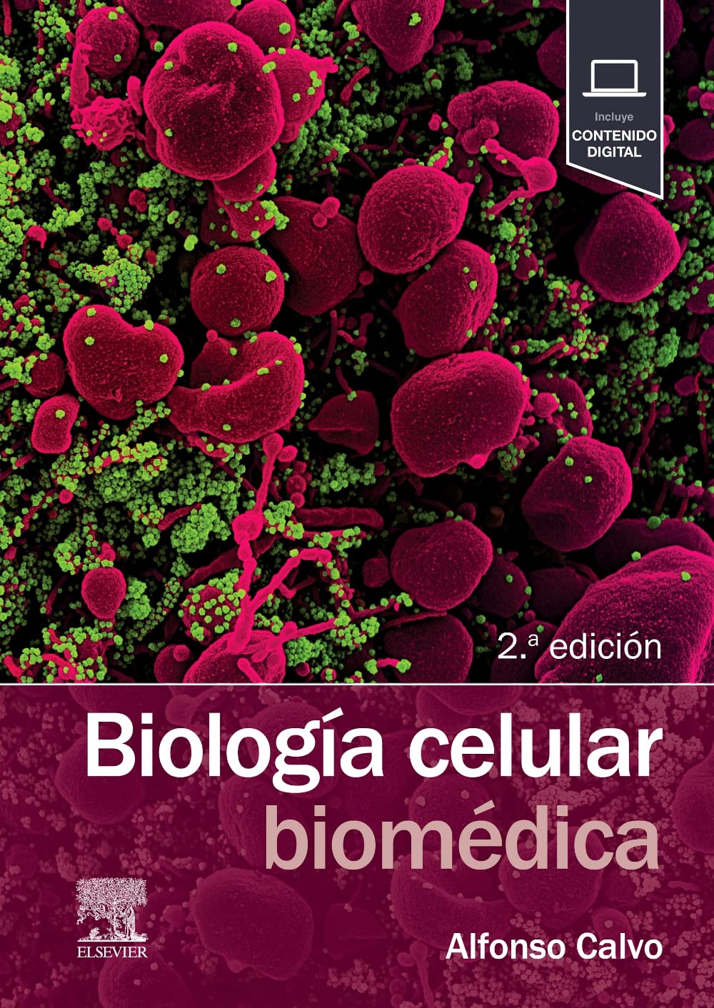 Biología celular biomédica book