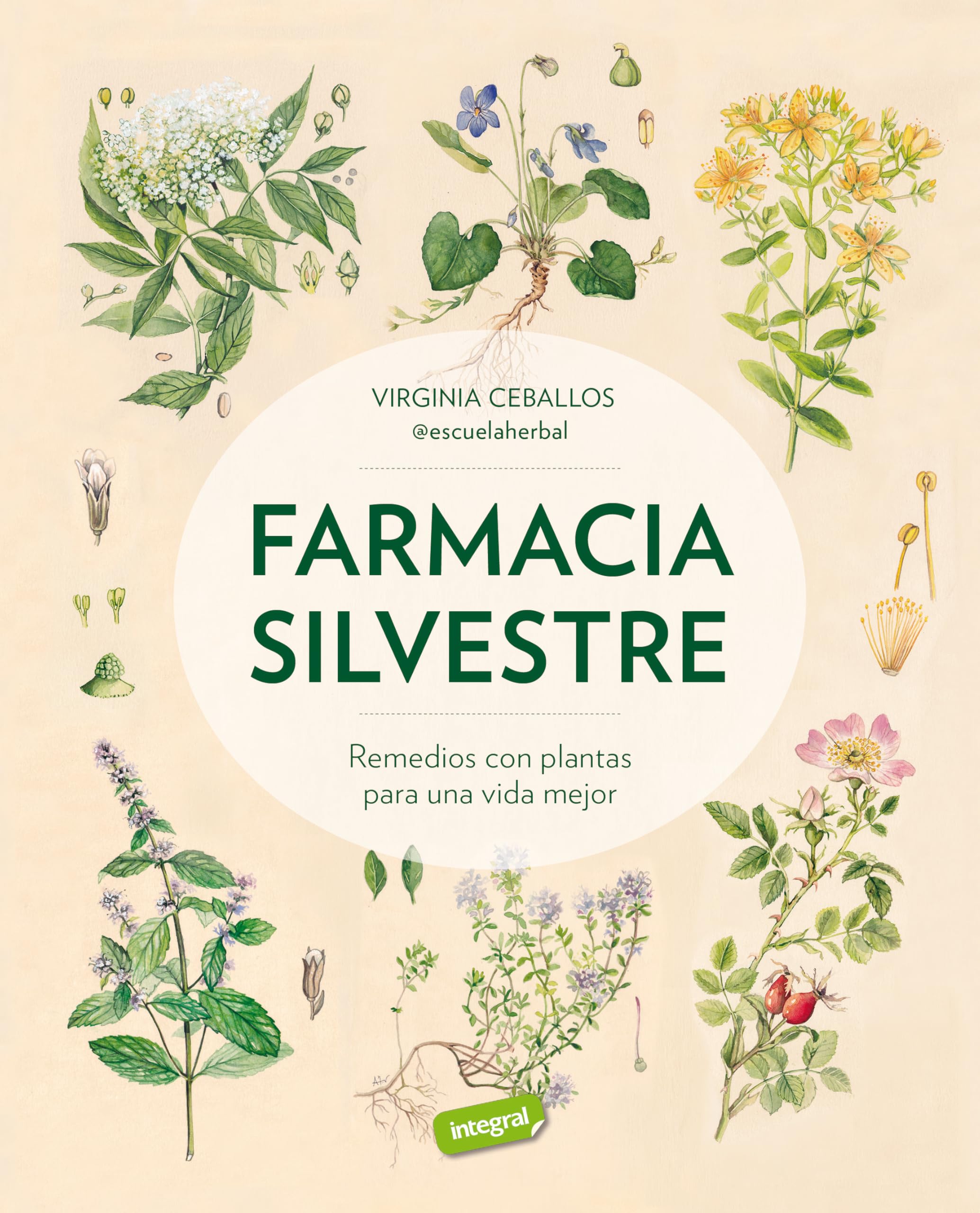 Farmacia silvestre Medicine