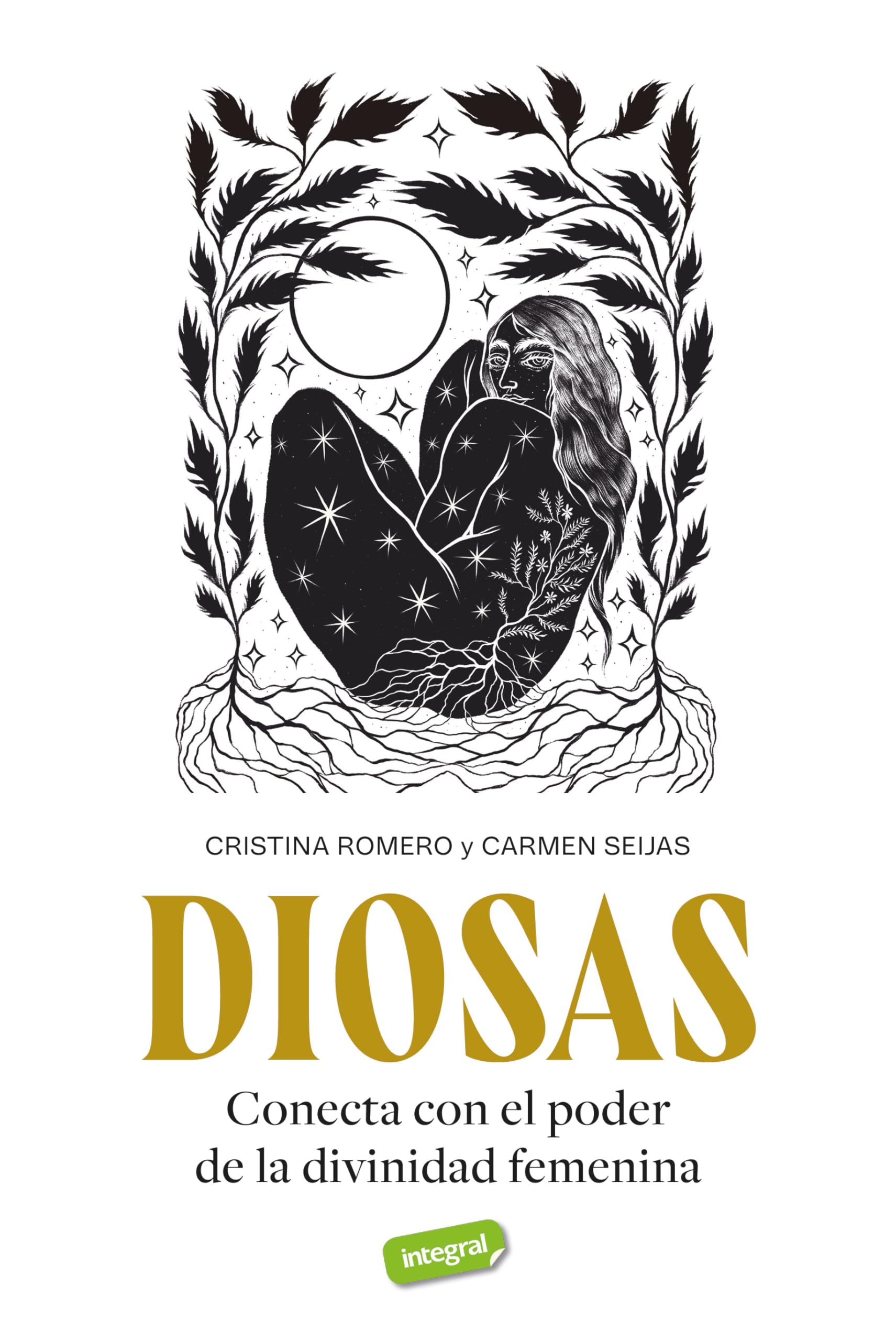 Diosas: Conecta con el poder de la divinidad femenina book