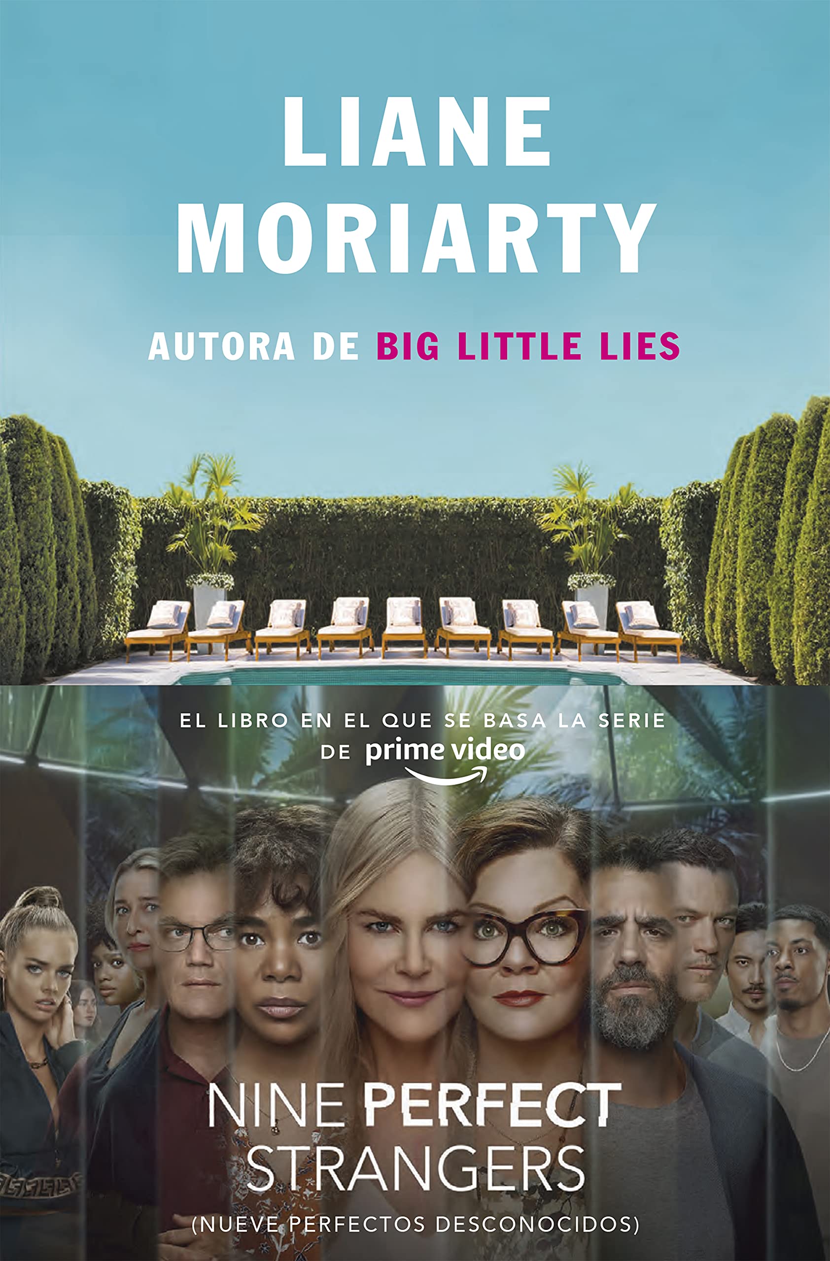 Nueve Perfectos Desconocidos / Nine Perfect Strangers (SUMA) Contemporary literature