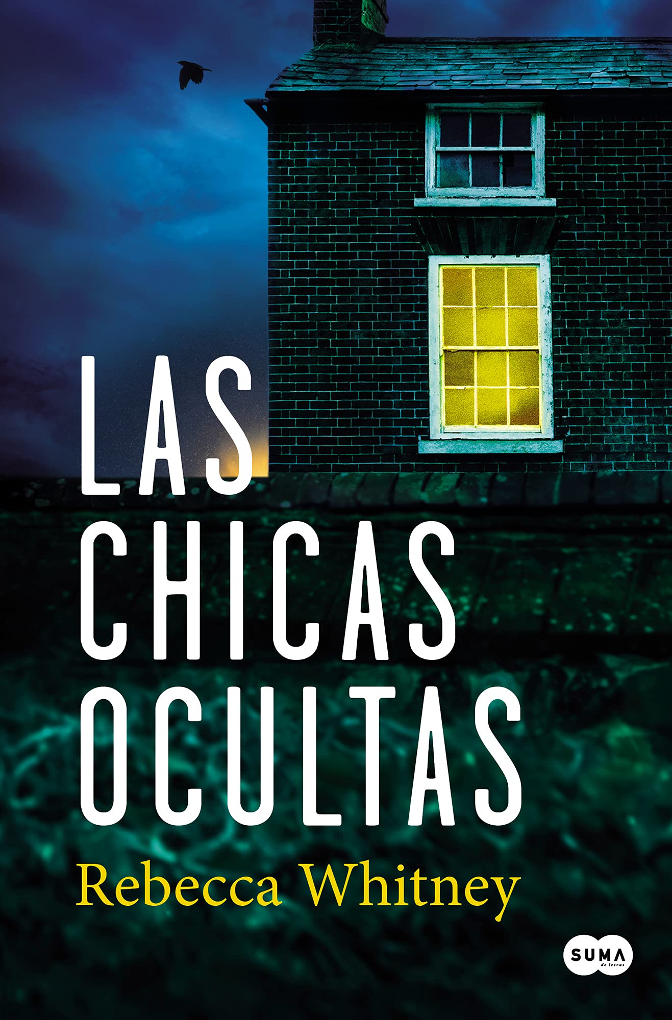 Las chicas ocultas / The Hidden Girls book
