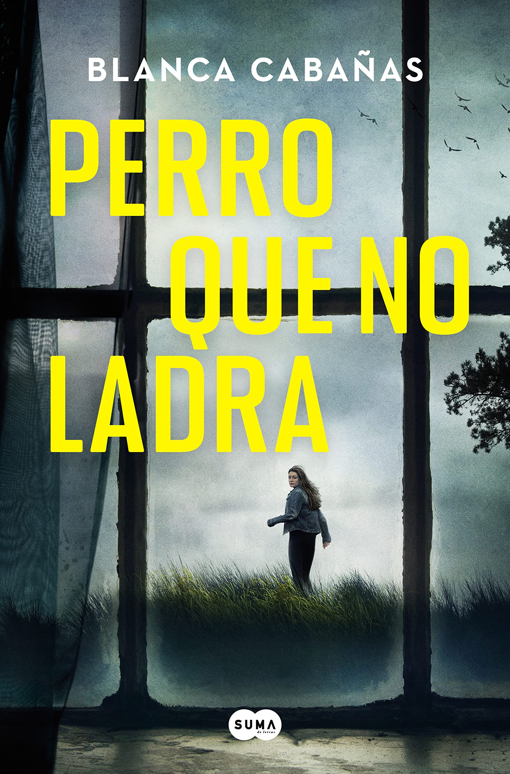 Perro que no ladra / The Dog that Doesn't Bark book