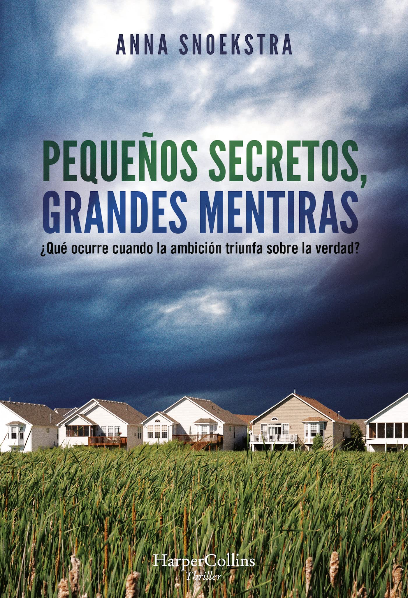 Pequeños Secretos, Grandes Mentiras (Little Secrets) Contemporary literature