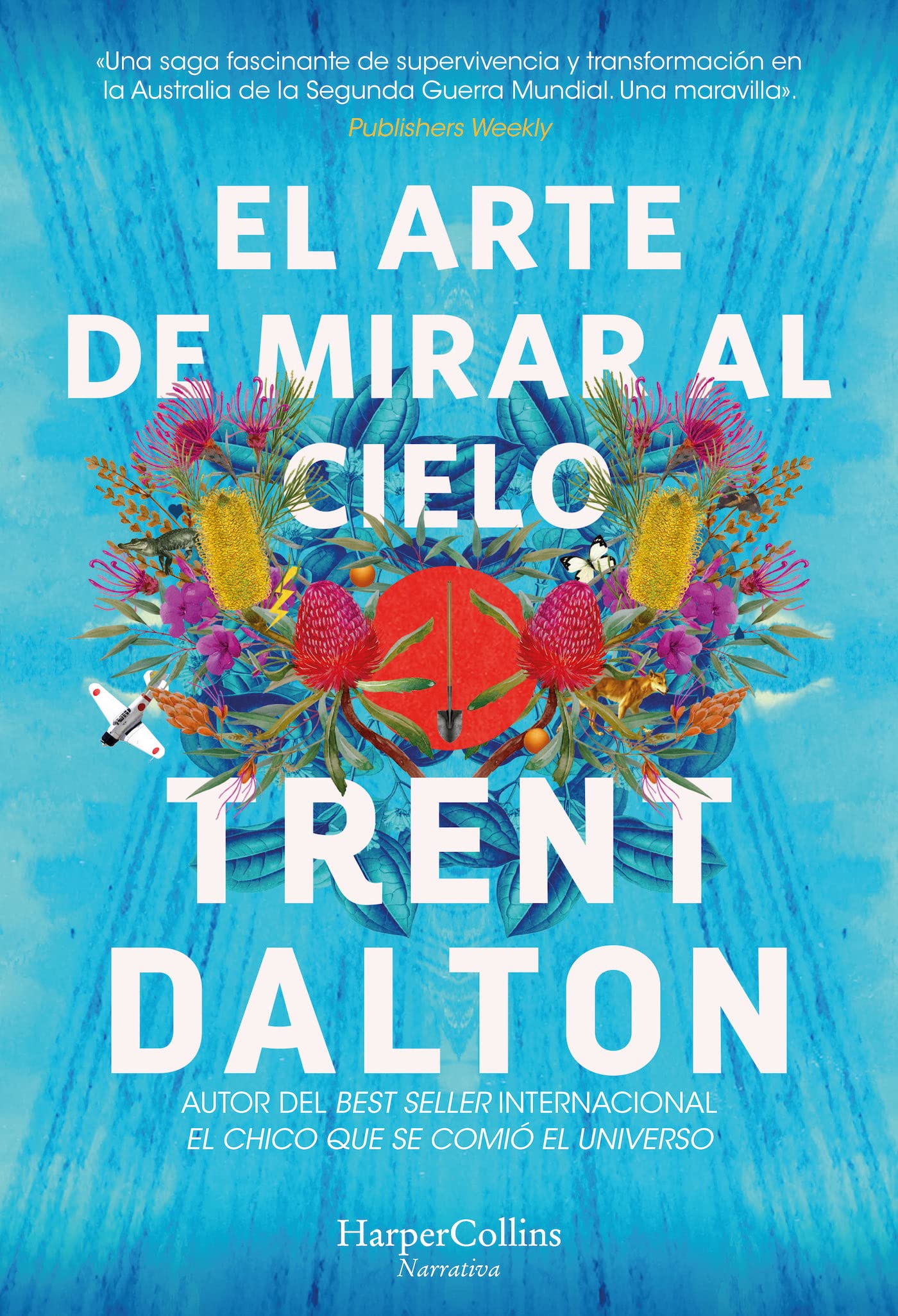 El arte de mirar al cielo (All Our Shimmering Skies - Spanish Edition) book