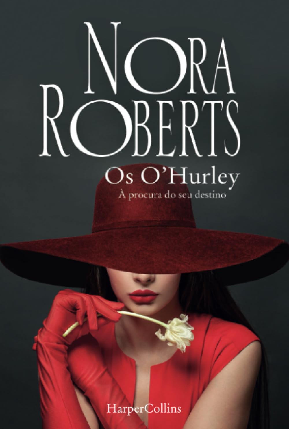Os O'Hurley - Á procura do seu destino book