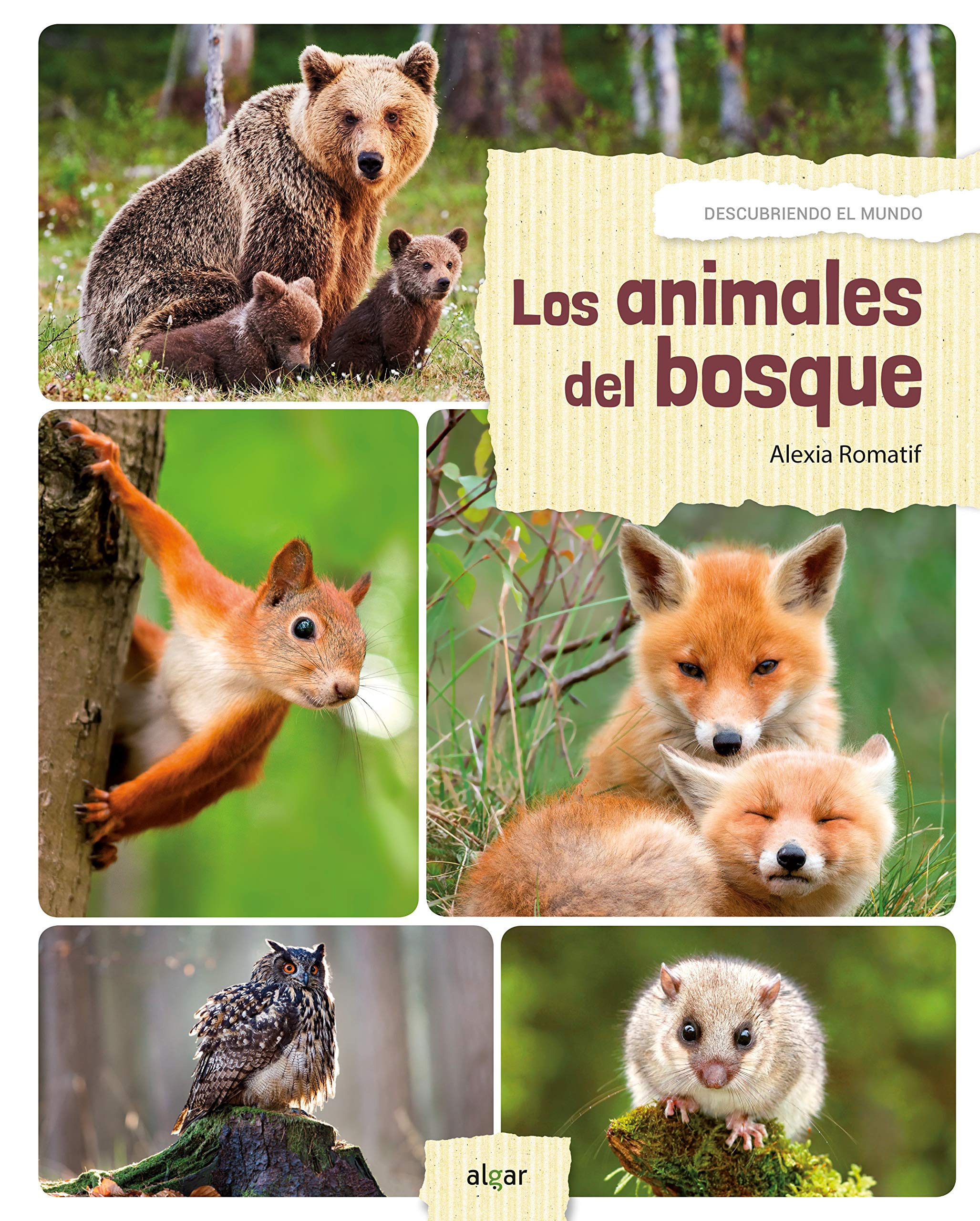 Los animales del bosque / Forest Animals book