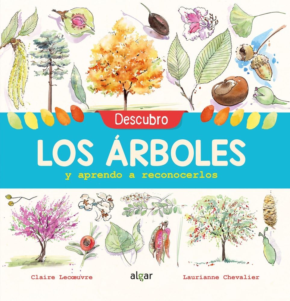 Descubro los árboles y aprendo a reconocerlos (Descubriendo el mundo, Band 101) Non-fiction