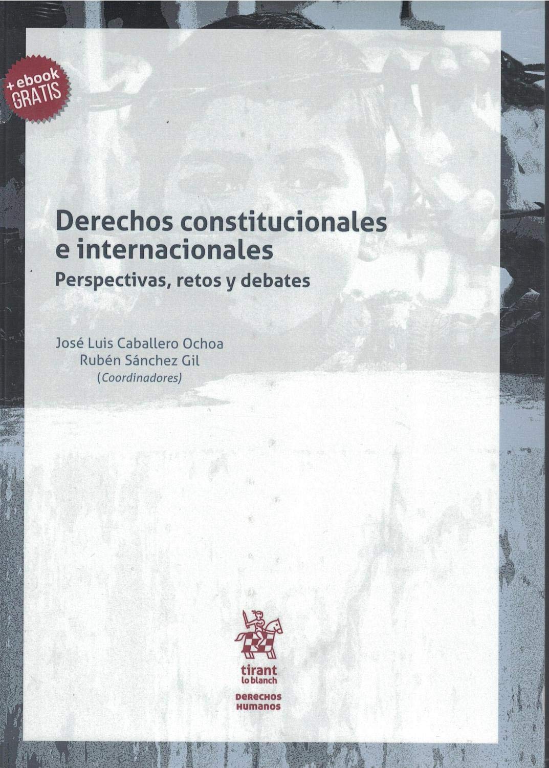 Derechos constitucionales e internacionales Perspectivas, retos y debates (Derechos Humanos -México-) Books
