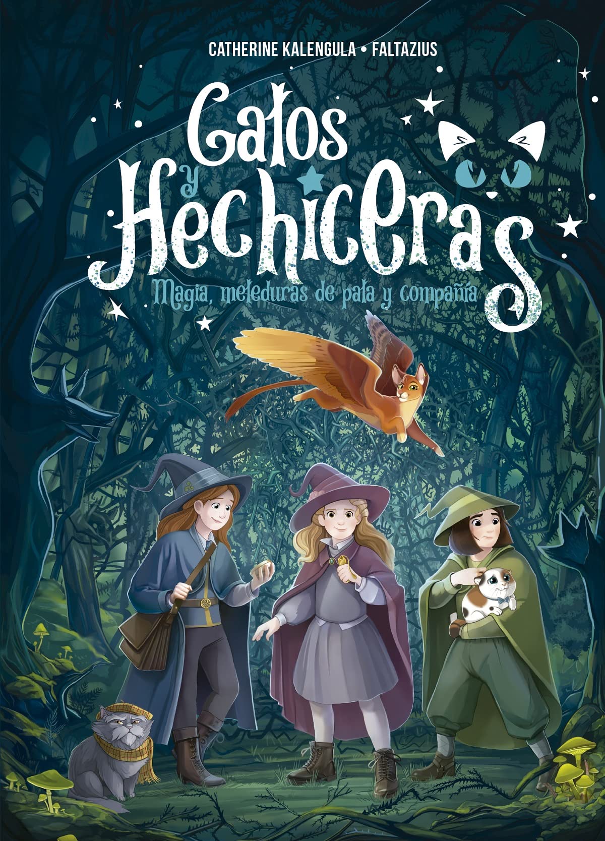 Gatos y hechiceras / Cats and Sorceresses: Magia, Meleduras De Pala Y Compania book