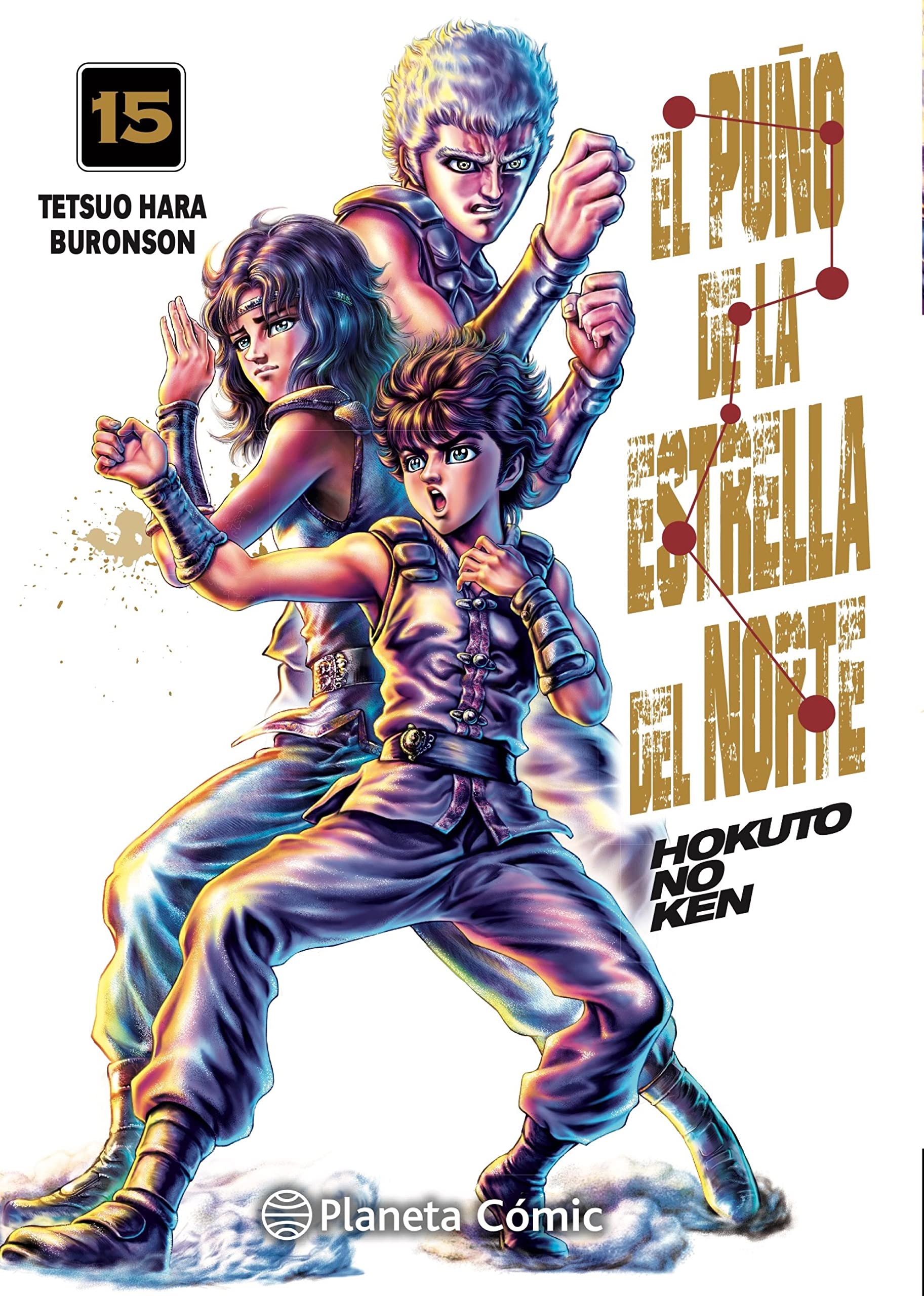 El puño de la Estrella del Norte (Hokuto No Ken) nº 15/18 (Manga Seinen, Band 15) Manga
