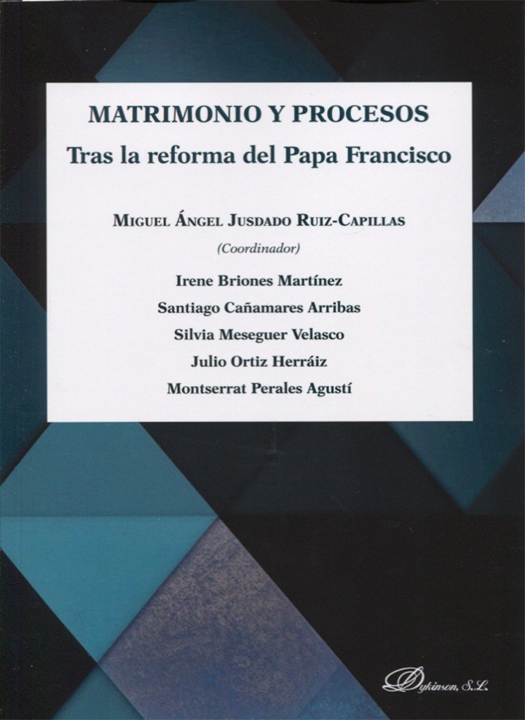 Matrimonio y Procesos. Tras la reforma del Papa Francisco book