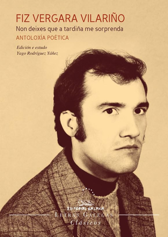 Fiz Vergara Vilariño. Non deixes que a tardiña me sorprenda. Antoloxía poética (Letras galegas clásicos, Band 6) Contemporary literature Books
