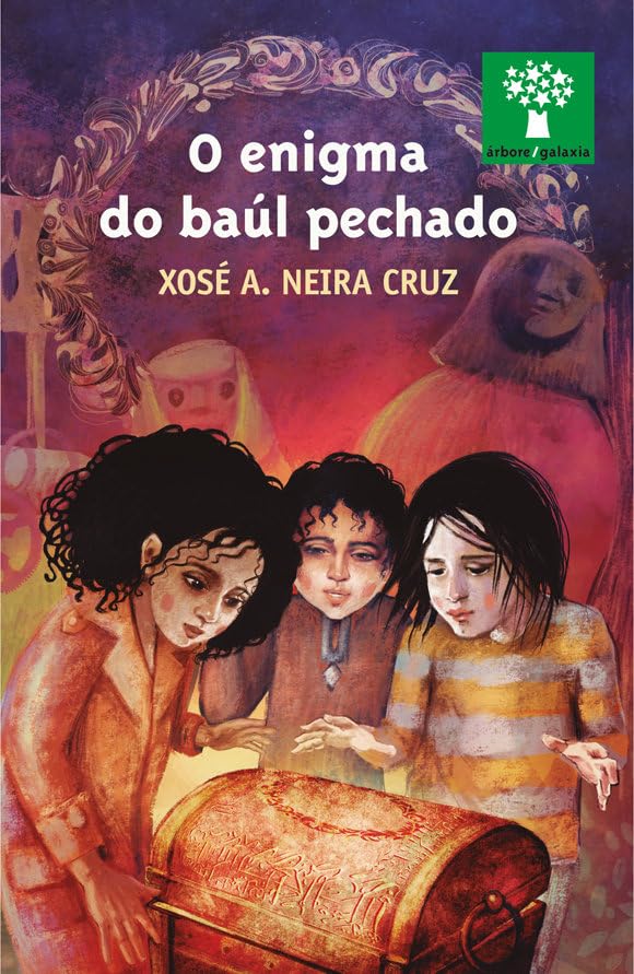 O enigma do baúl pechado book