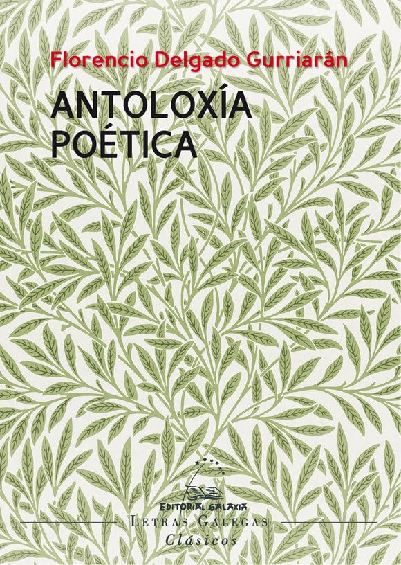Antoloxía poética (Florencio Delgado Gurriarán) (Letras galegas clásicos, Band 13) Books
