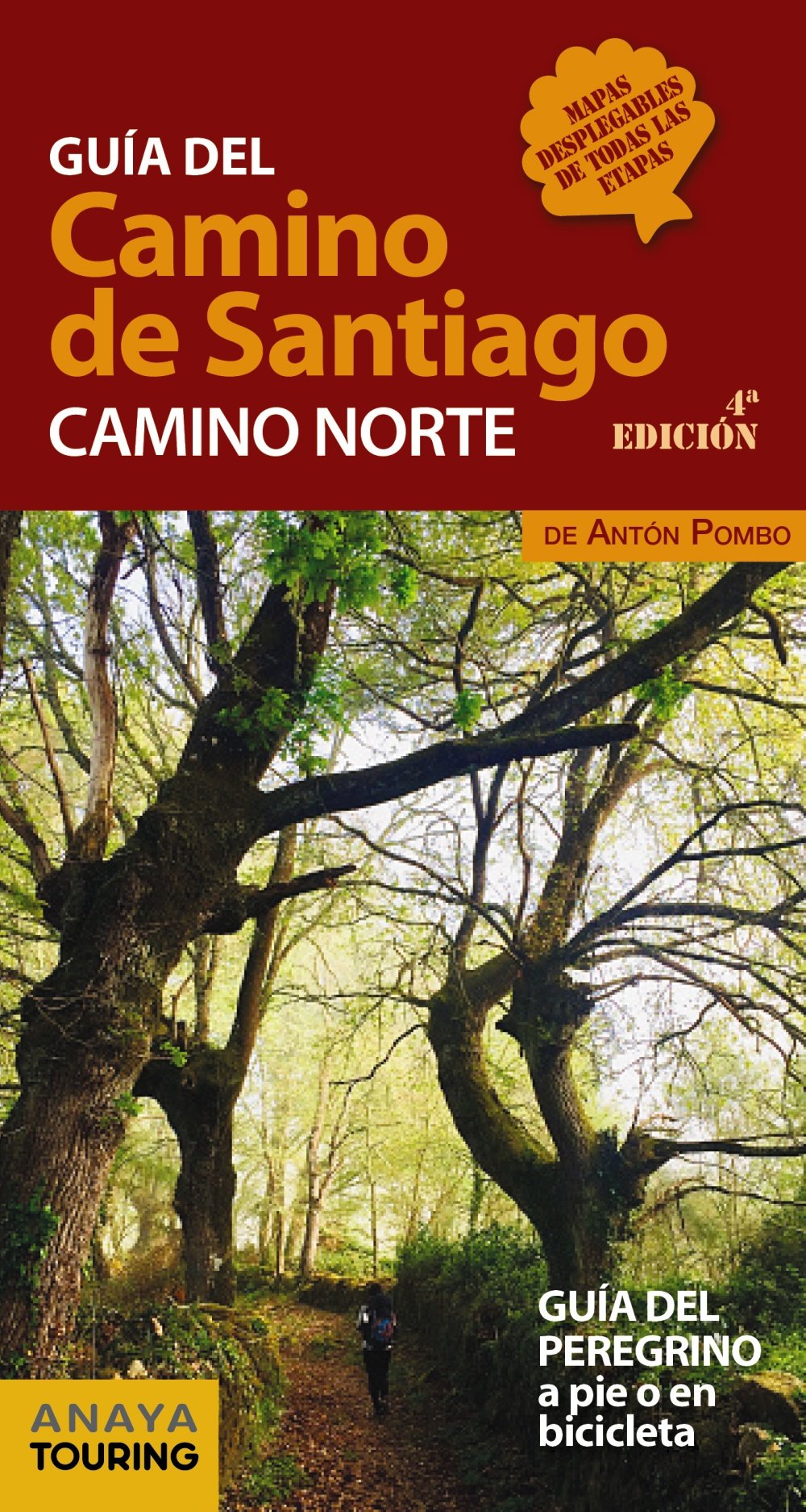 Guía del Camino de Santiago. Camino Norte book