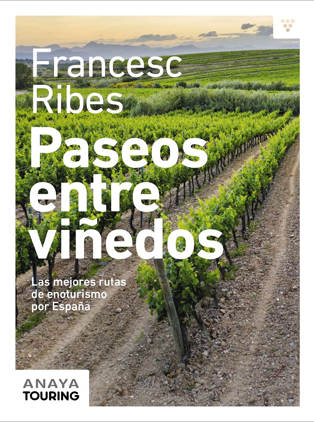 Paseos entre viñedos: Las mejores rutas de enoturismo por España (Guías Singulares) Leisure, Home & Garden