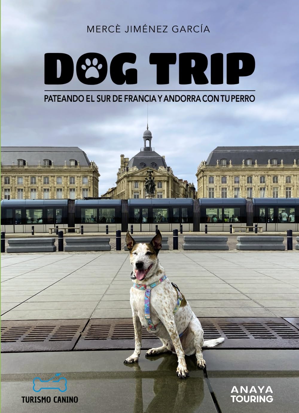 Dog trip. Pateando el sur de Francia y Andorra con tu perro book