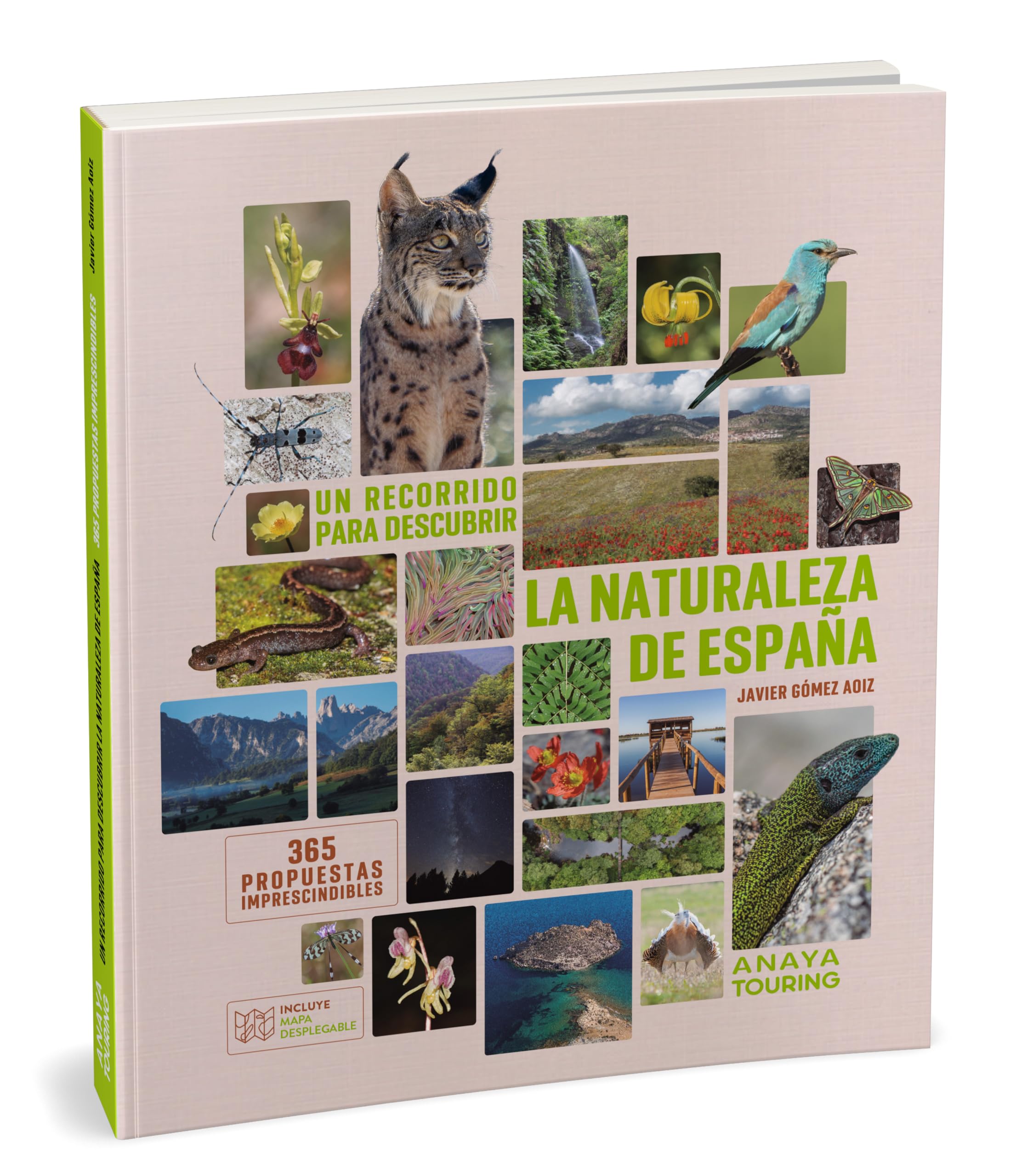 Un recorrido para descubrir la Naturaleza de España. 365 Propuestas imprescindibles Professional & Reference Books