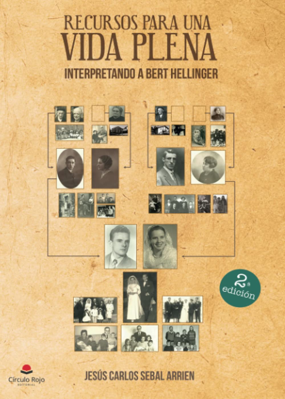 Recursos para una vida plena Interpretando a Bert Hellinger book