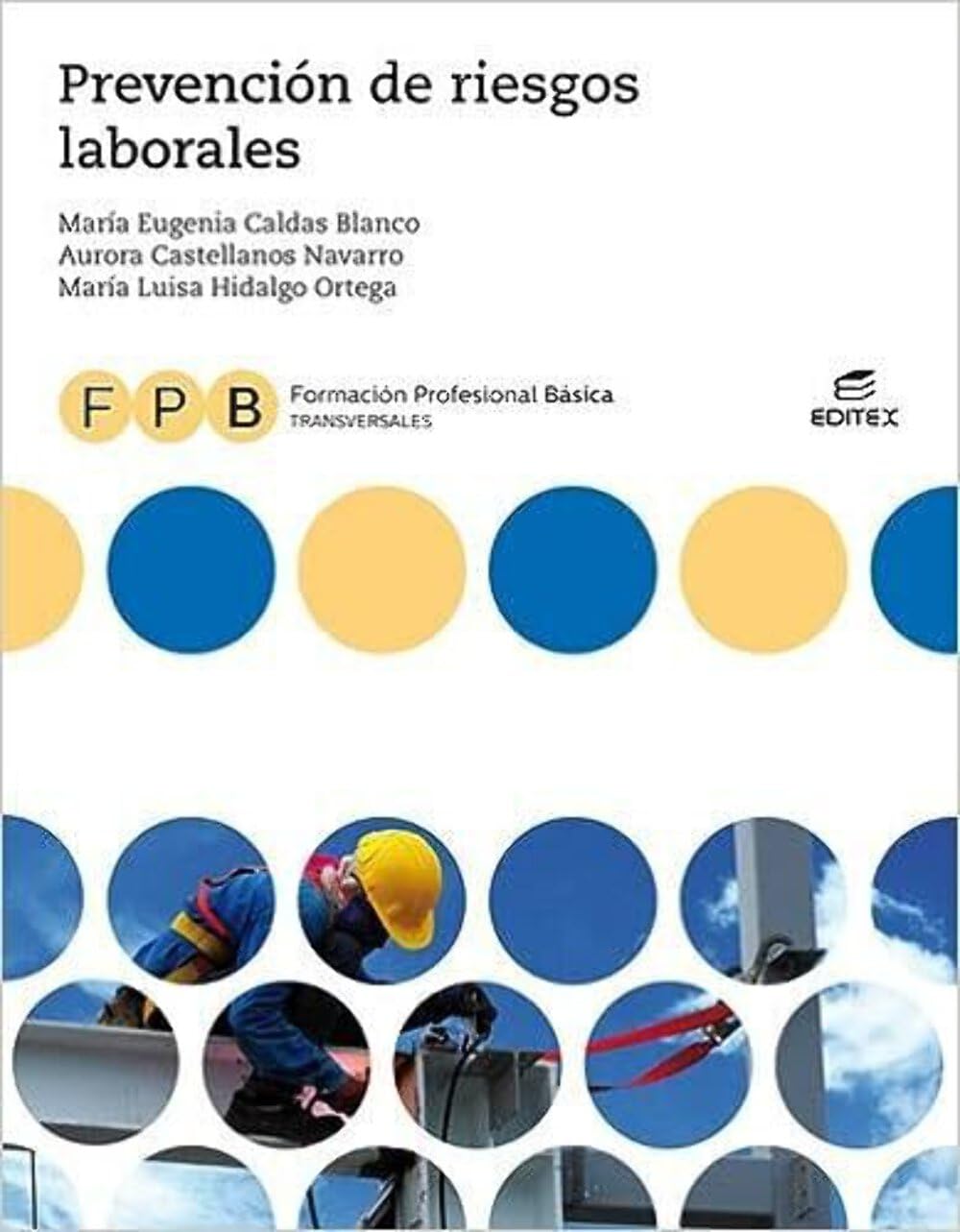 FPB Prevención de riesgos laborales (Formación Profesional Básica) Professional & Reference Books