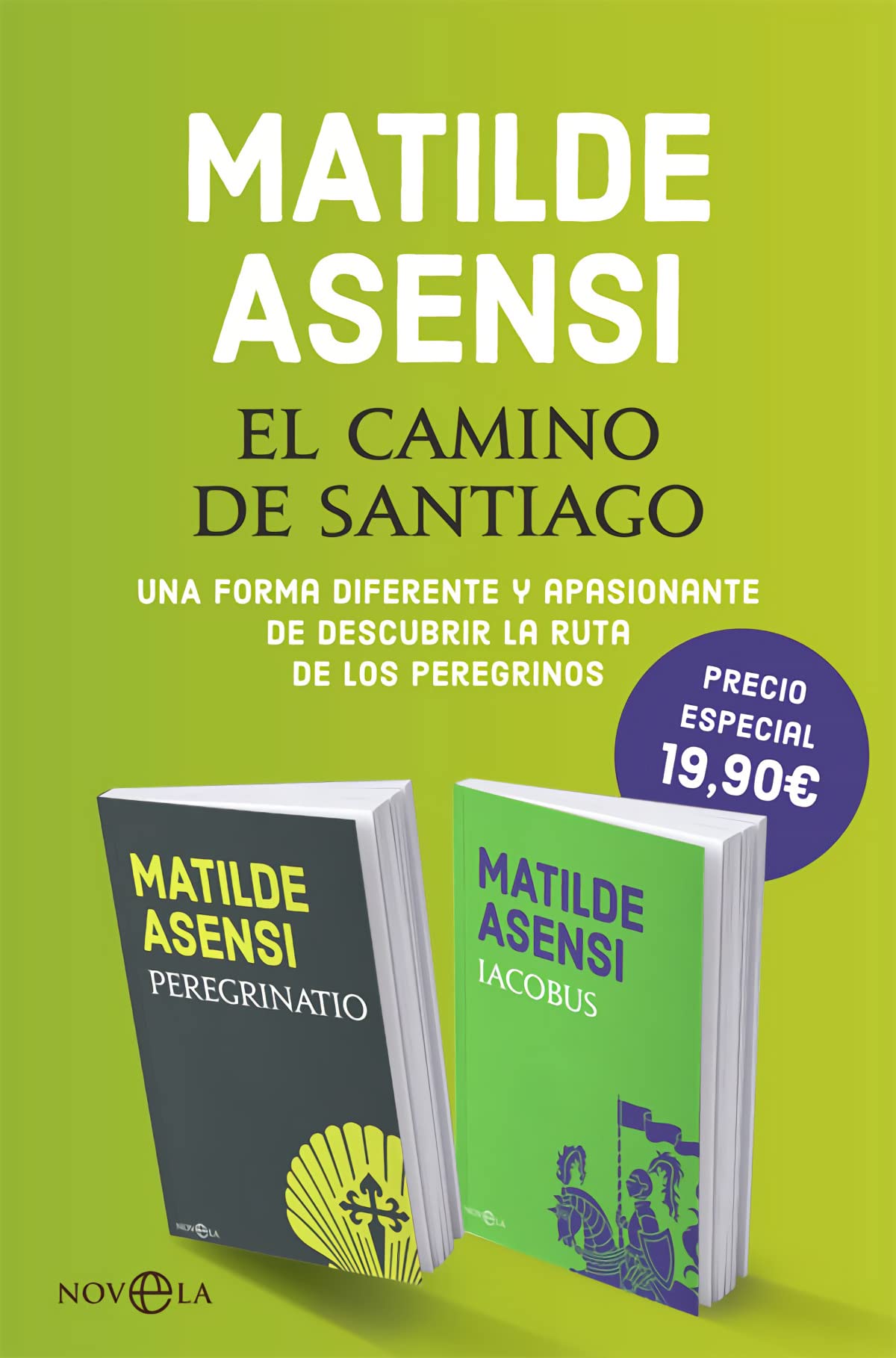 El camino de Santiago: Una forma diferente y apasionante de descubrir la ruta de los peregrinos book