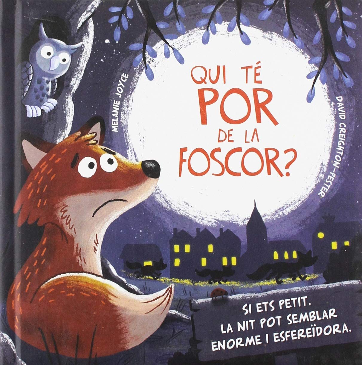 QUI TÉ POR DE LA FOSCOR? book