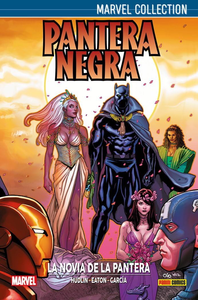 Marvel Collection Pantera Negra 2. La Novia De La Pantera: LA NOVIA DE LA PANTERA NEGRA Superheroes