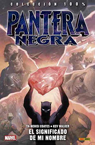 Colección 100% Pantera Negra 2. El Significado De Mi Nombre: EL SIGNIFICADO DE MI NOMBRE book