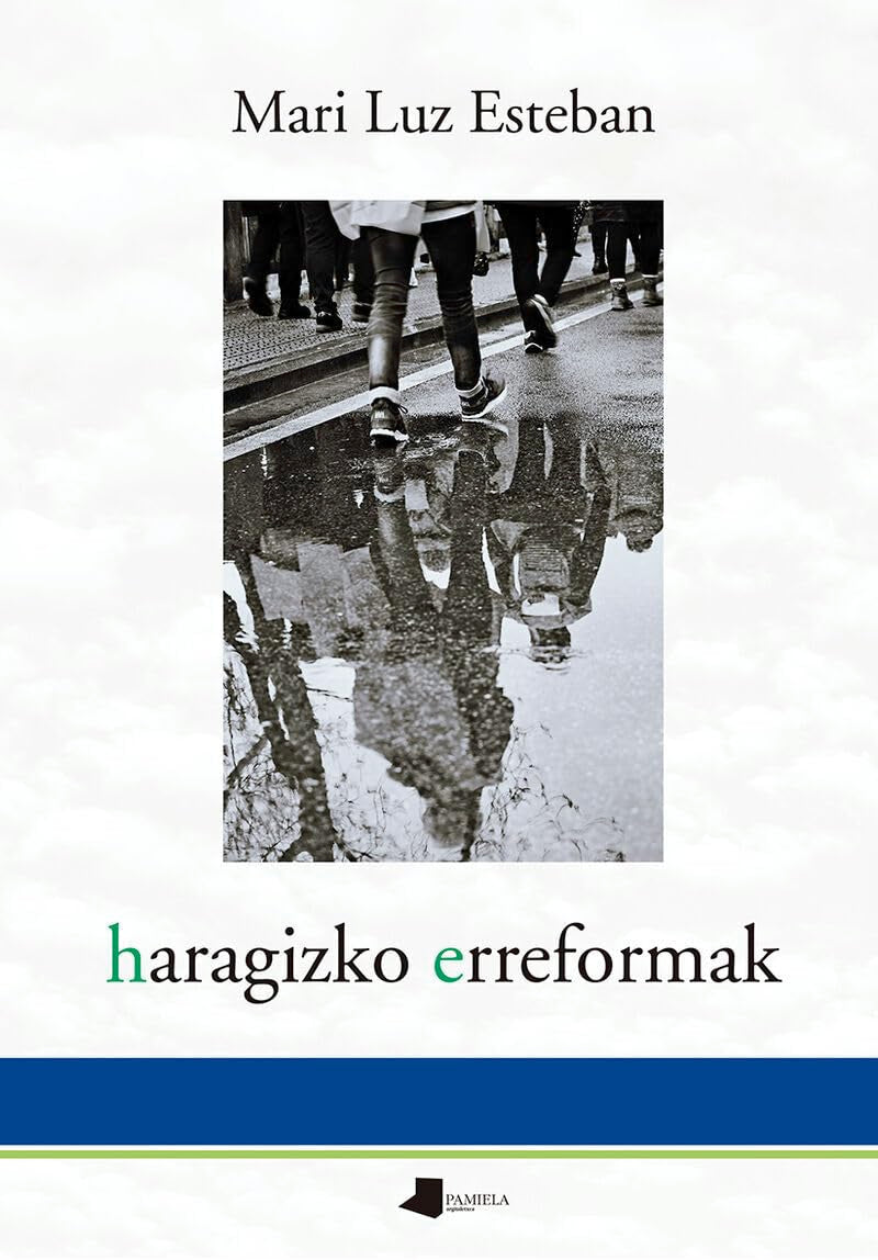 haragizko erreformak (Pamiela Poesia, Band 59) Poetry