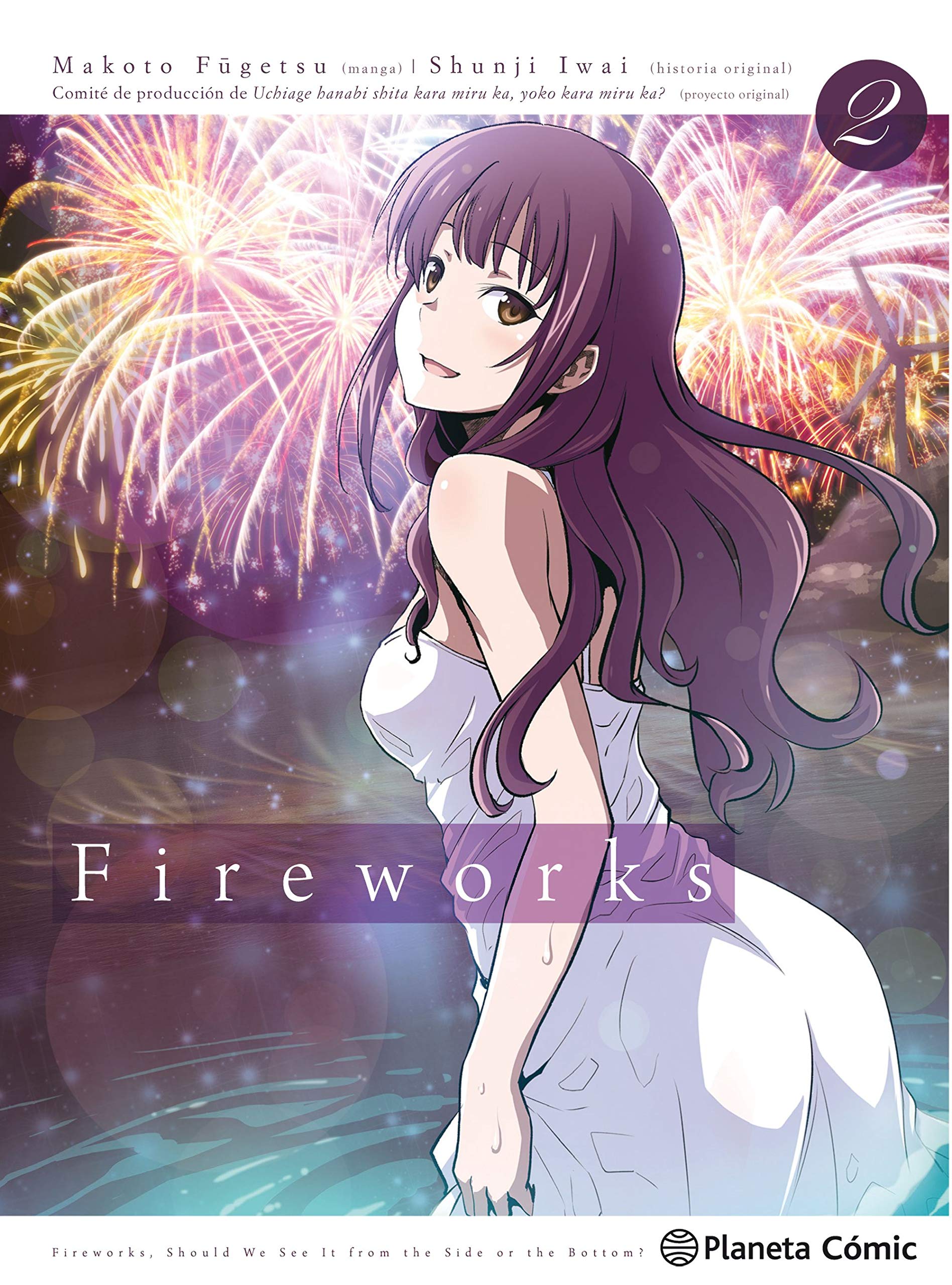Fireworks 2 (Manga Josei, Band 2) Manga
