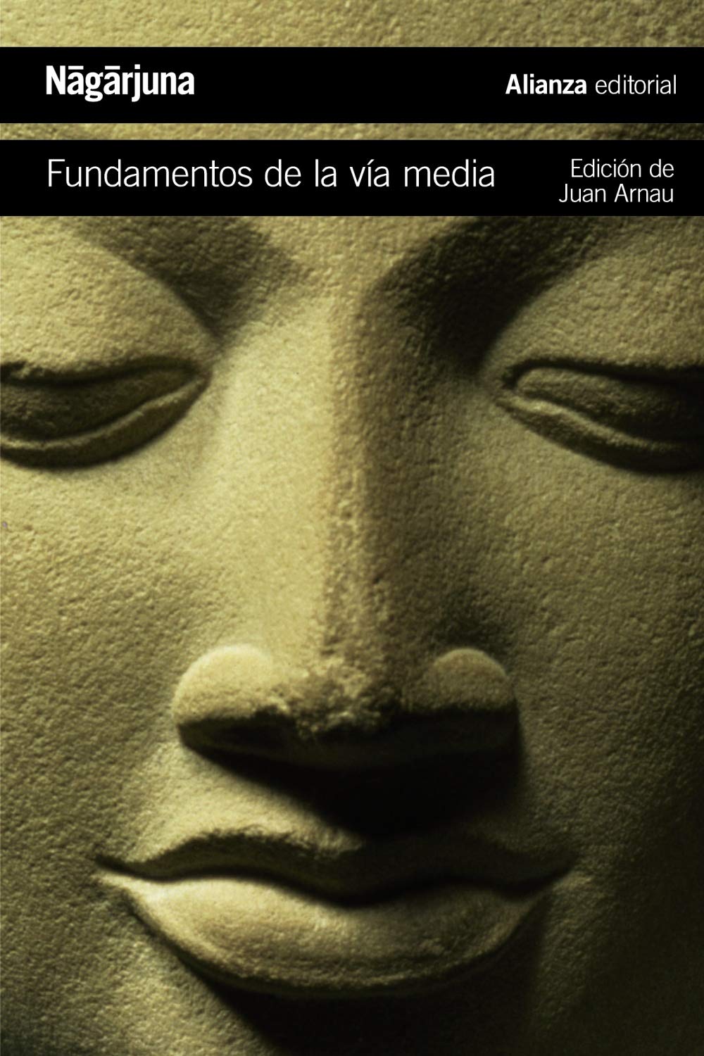 Fundamentos de la vía media: El camino budista hacia el vacío book