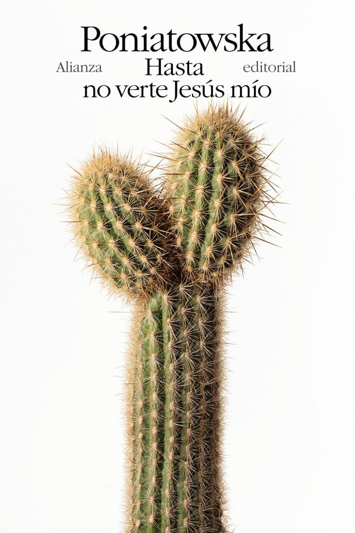 Hasta no verte Jesús mío book